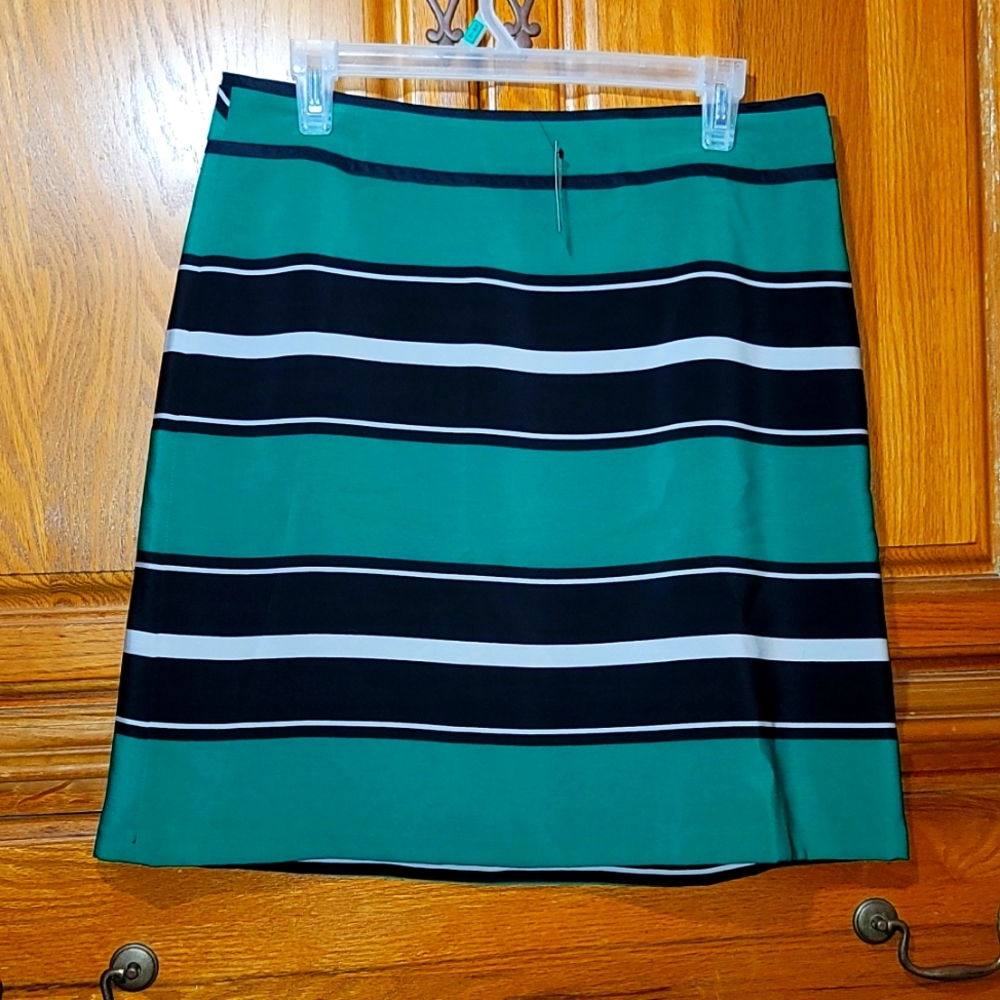 Black, green, and grey stripe skirt.